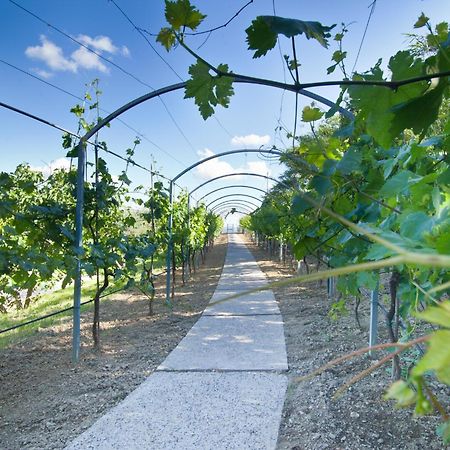 Agriturismo Il Vecchio Mandorlo Περούτζια Εξωτερικό φωτογραφία