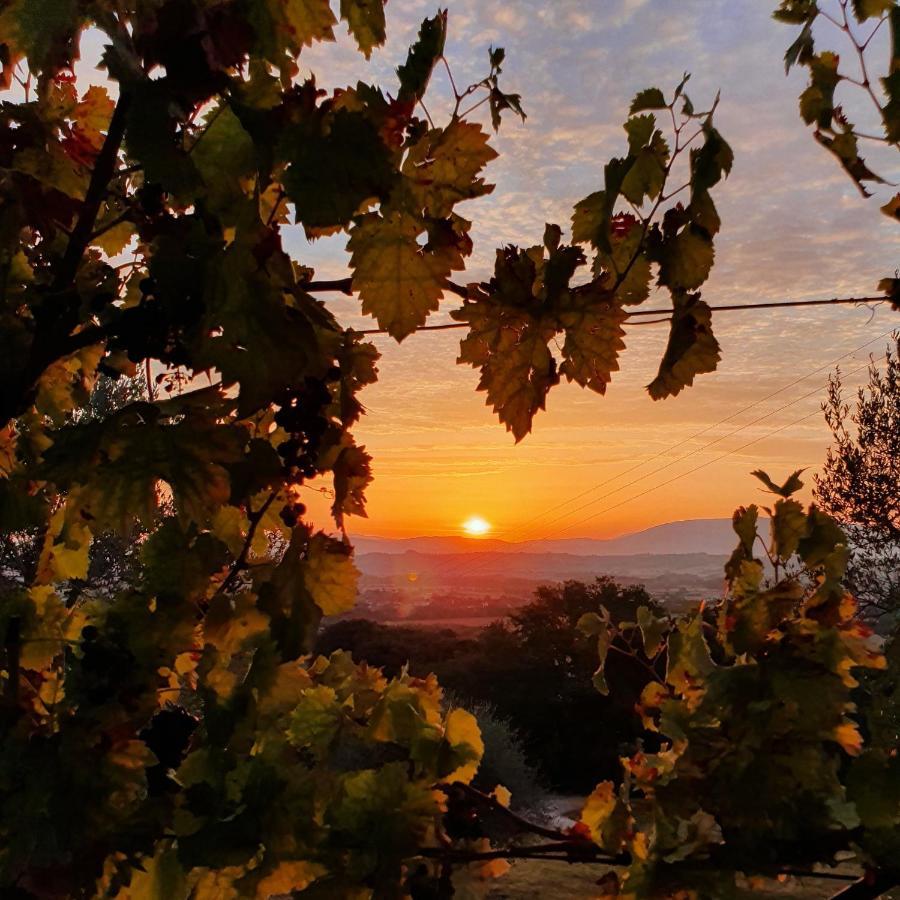 Agriturismo Il Vecchio Mandorlo Περούτζια Εξωτερικό φωτογραφία