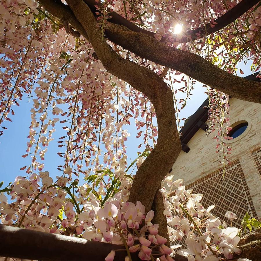 Agriturismo Il Vecchio Mandorlo Περούτζια Εξωτερικό φωτογραφία