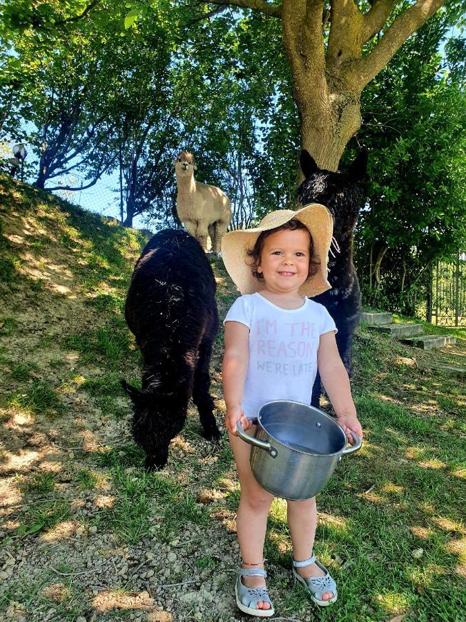 Agriturismo Il Vecchio Mandorlo Περούτζια Εξωτερικό φωτογραφία