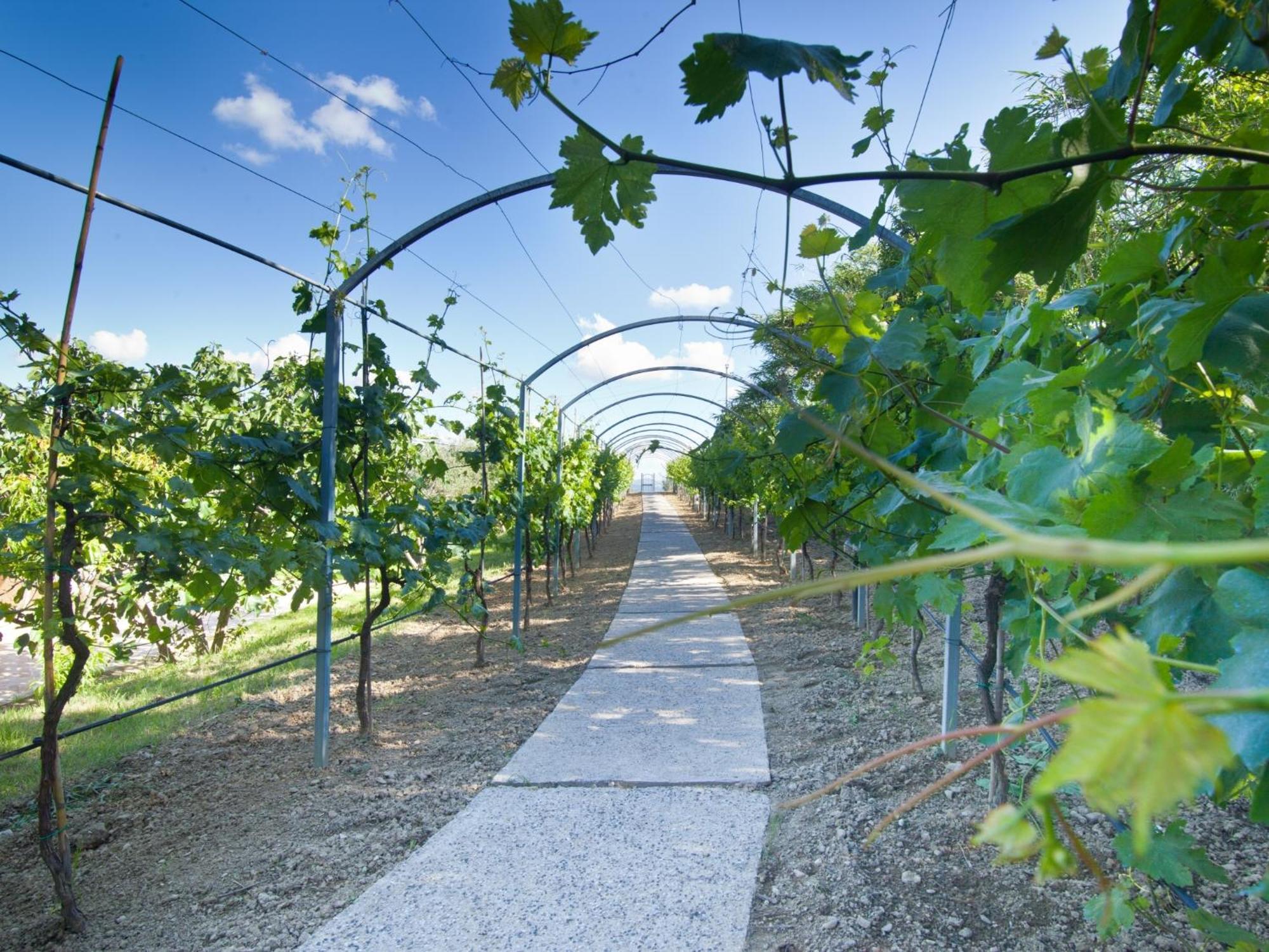Agriturismo Il Vecchio Mandorlo Περούτζια Εξωτερικό φωτογραφία